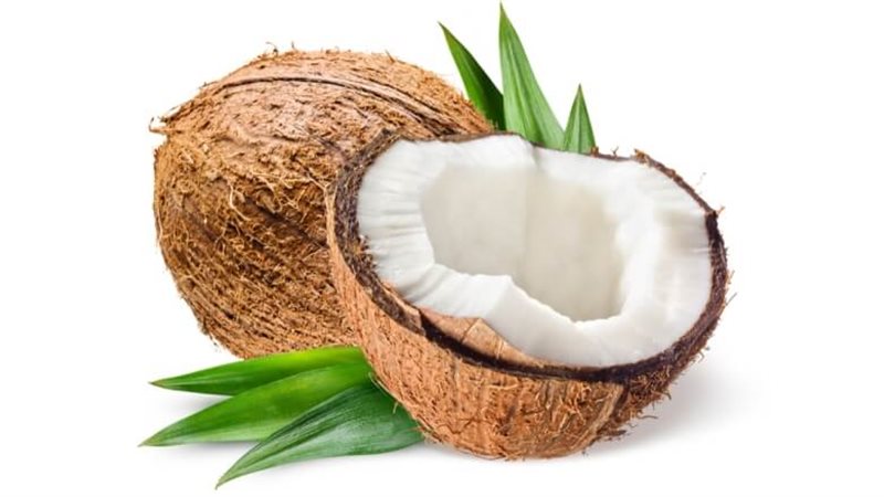 هير نيوز