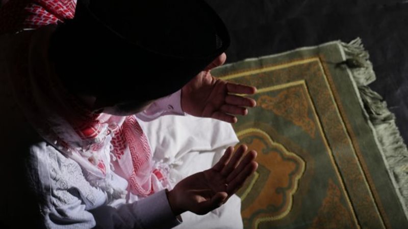 هير نيوز