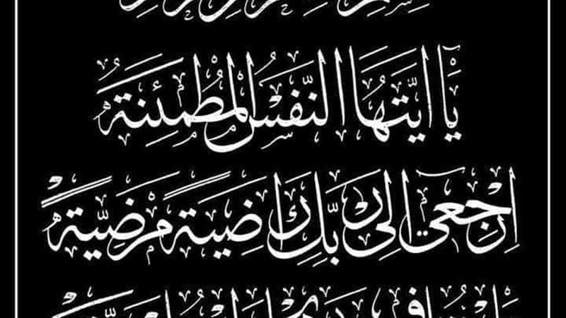 هير نيوز