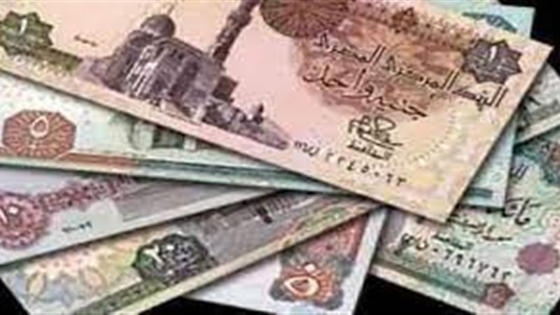 هير نيوز