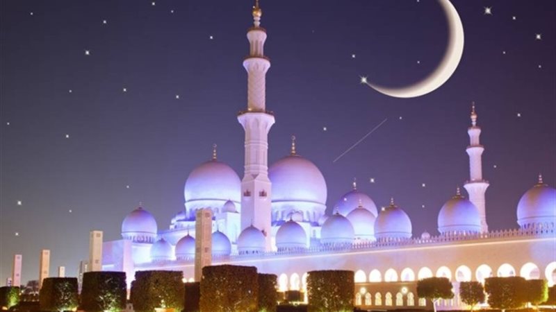 هير نيوز