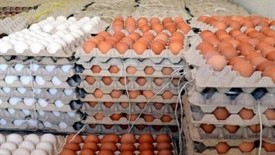  أسعار  البيض اليوم السبت 6  أبريل 2024  في الأسواق المصرية