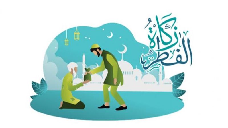 هير نيوز