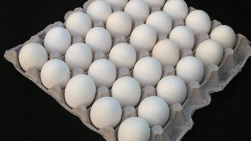 أسعار طبق البيض اليوم