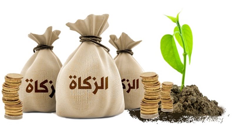 هير نيوز