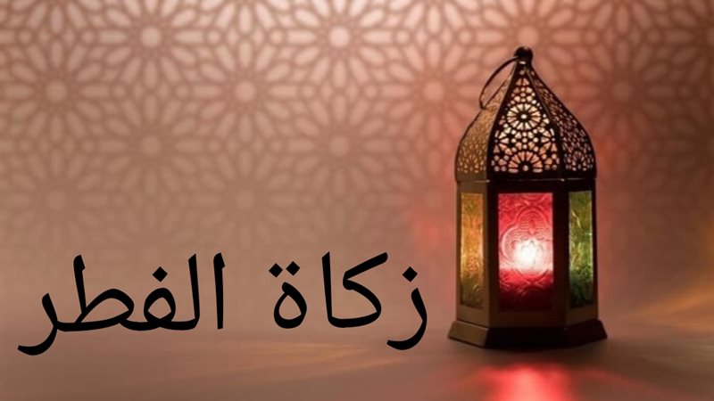 هير نيوز