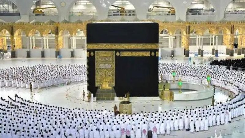 هير نيوز