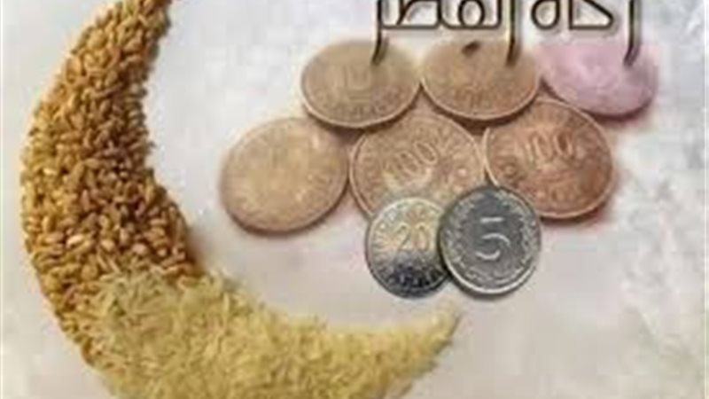 هير نيوز