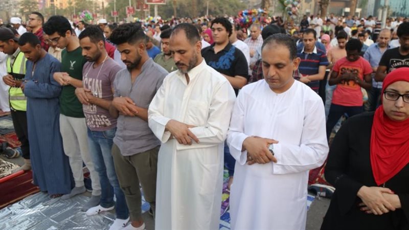 هير نيوز