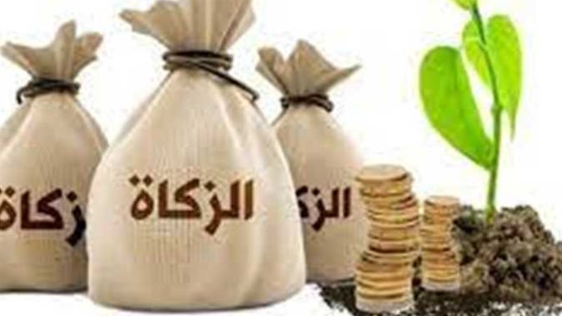هير نيوز