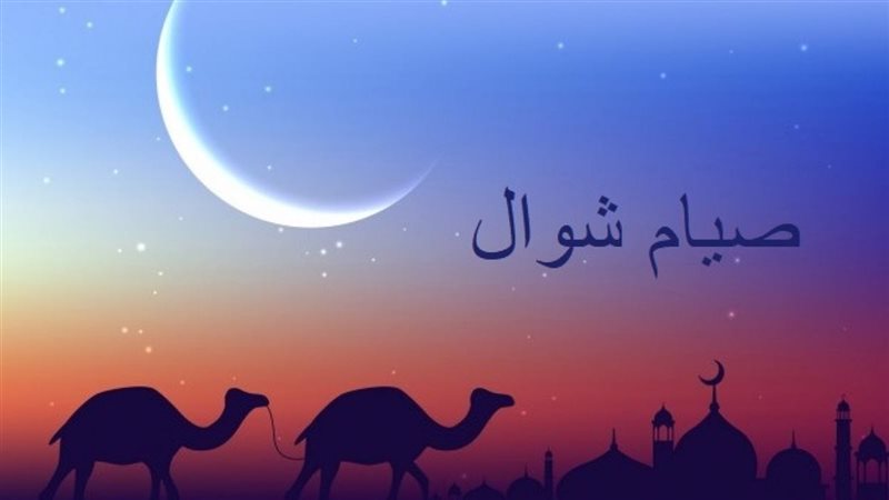 هير نيوز