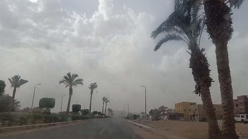 هير نيوز