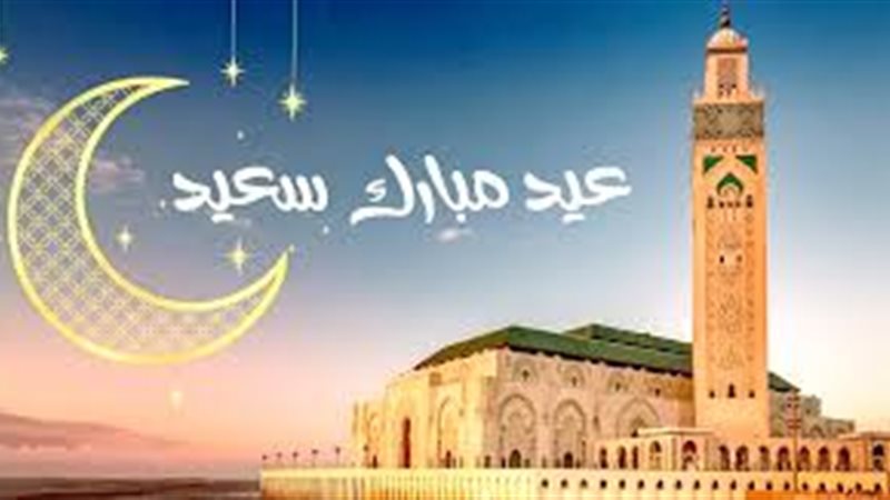 هير نيوز