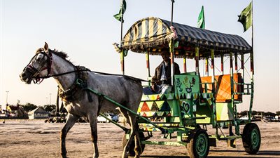 تفسير رؤية الحنطور في المنام 