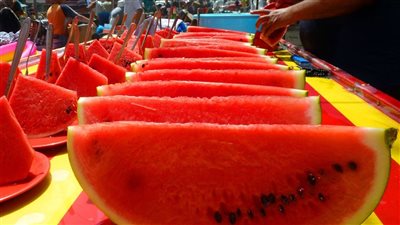  أشهر وأغلى أنواع البطيخ في العالم وأماكن زراعته