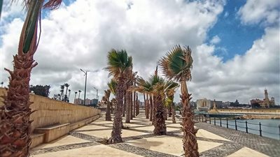 حدائق المنتزة تتزين لاستقبال زائريها في 