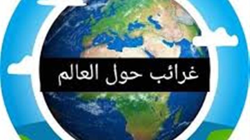 هير نيوز