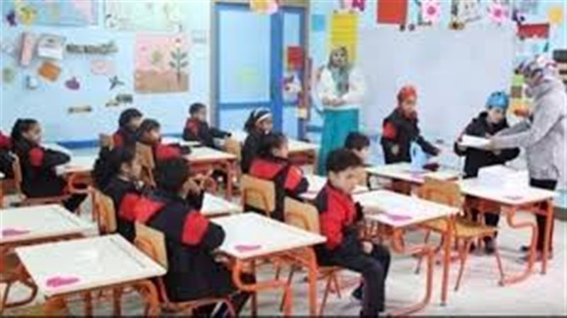 المدارس المصرية اليابانية