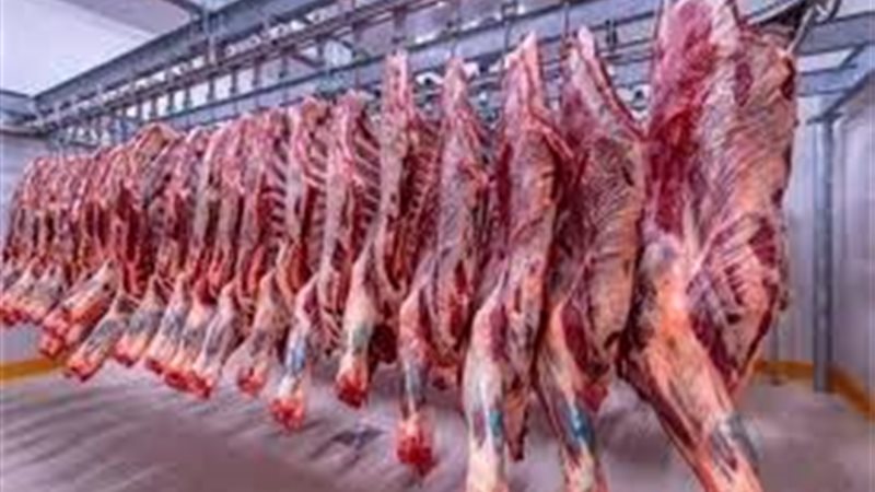 أسعار اللحوم اليوم