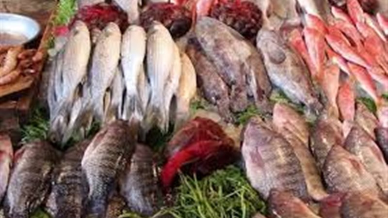 أسعار الأسمك والجمبري