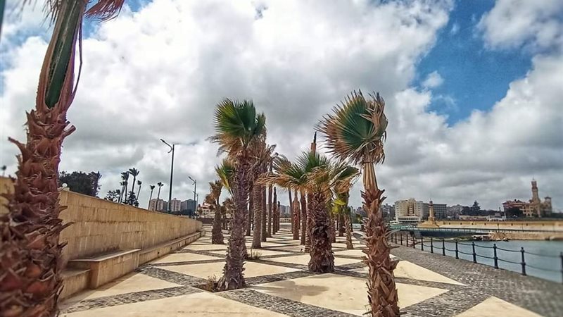 حدائق المنتزه