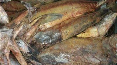   5 فئات ممنوعة من تناول الرنجه في شم النسيم .. أبرزهم الحامل