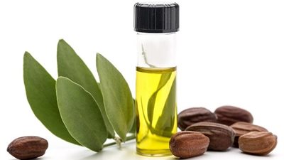 10 فوائد لزيت الجوجوبا تدفعك لاستعماله يوميًا