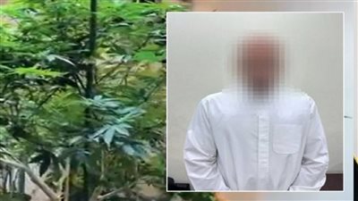 الأسرة الحاكمة الكويتية في مأزق بعد ضبط أحد أفرادها لزراعة الماريجوانا 