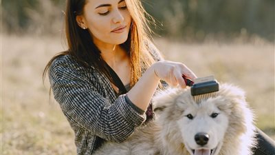  تفسير حلم عضة الكلب في المنام للعزباء والمتزوجة