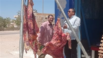 بـ300 جنيه.. رئيس طور سيناء يتابع مبادرة تخفيض أسعار اللحوم