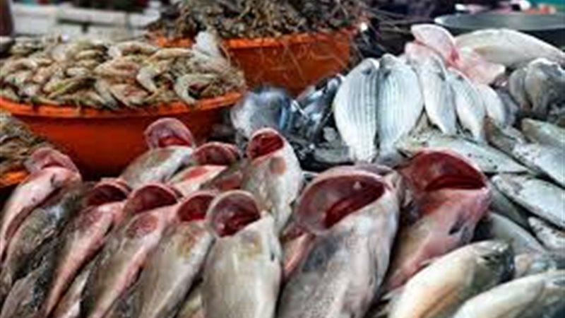 أسعار الأسماك اليوم