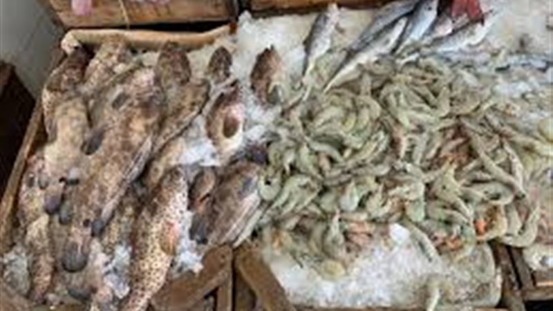 أسعار الأسماك اليوم